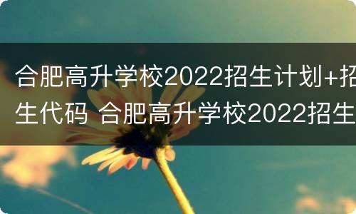 合肥高升学校2022招生计划+招生代码 合肥高升学校2022招生计划 招生代码表