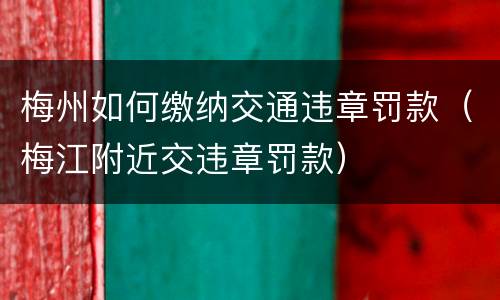 梅州如何缴纳交通违章罚款（梅江附近交违章罚款）
