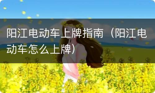 阳江电动车上牌指南（阳江电动车怎么上牌）
