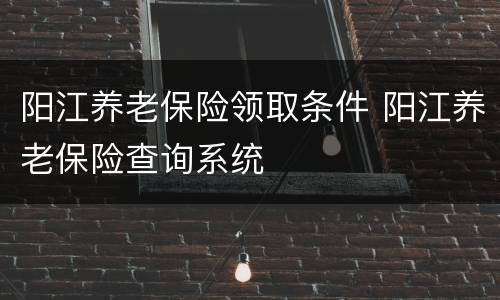 阳江养老保险领取条件 阳江养老保险查询系统