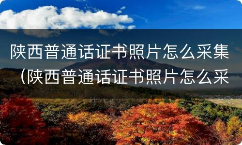陕西普通话证书照片怎么采集（陕西普通话证书照片怎么采集的）