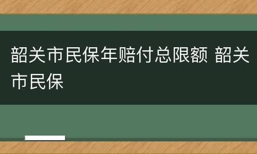 韶关市民保年赔付总限额 韶关市民保