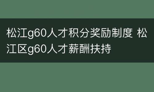 松江g60人才积分奖励制度 松江区g60人才薪酬扶持