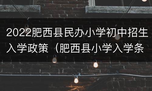 2022肥西县民办小学初中招生入学政策（肥西县小学入学条件）