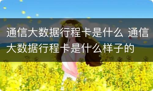 通信大数据行程卡是什么 通信大数据行程卡是什么样子的