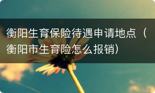 衡阳生育保险待遇申请地点（衡阳市生育险怎么报销）