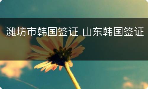 潍坊市韩国签证 山东韩国签证