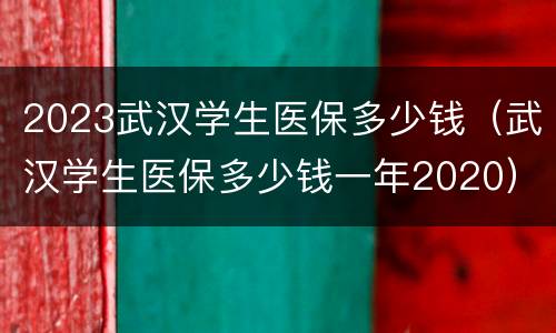 2023武汉学生医保多少钱（武汉学生医保多少钱一年2020）