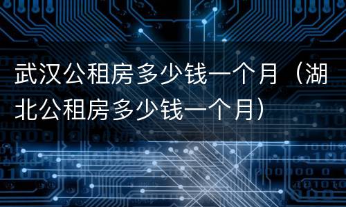 武汉公租房多少钱一个月（湖北公租房多少钱一个月）