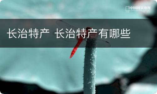 长治特产 长治特产有哪些