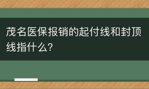 茂名医保报销的起付线和封顶线指什么？