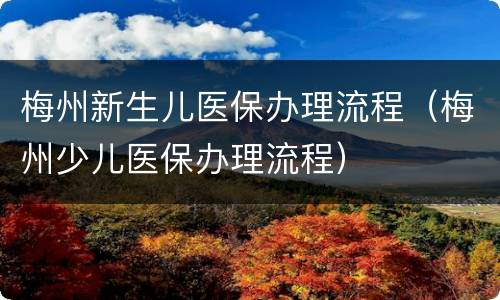 梅州新生儿医保办理流程（梅州少儿医保办理流程）