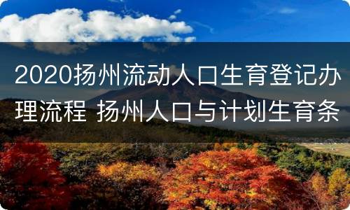 2020扬州流动人口生育登记办理流程 扬州人口与计划生育条例