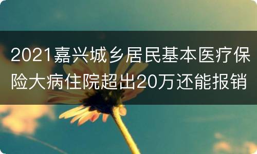 2021嘉兴城乡居民基本医疗保险大病住院超出20万还能报销吗？