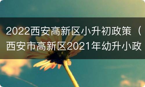 2022西安高新区小升初政策（西安市高新区2021年幼升小政策）
