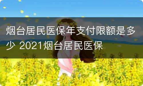 烟台居民医保年支付限额是多少 2021烟台居民医保