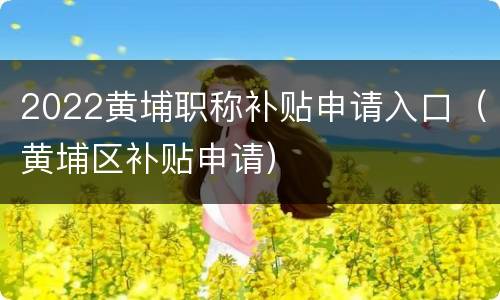 2022黄埔职称补贴申请入口（黄埔区补贴申请）