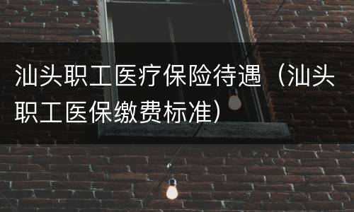 汕头职工医疗保险待遇（汕头职工医保缴费标准）