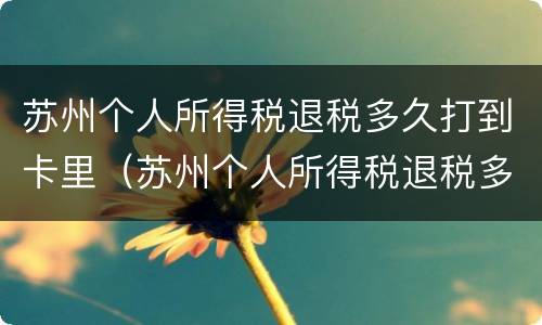 苏州个人所得税退税多久打到卡里（苏州个人所得税退税多久打到卡里面）