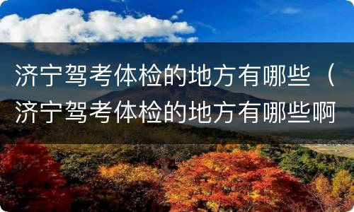 济宁驾考体检的地方有哪些（济宁驾考体检的地方有哪些啊）