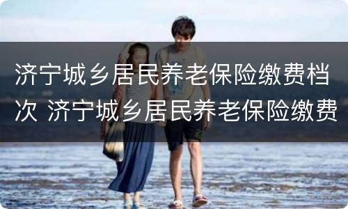 济宁城乡居民养老保险缴费档次 济宁城乡居民养老保险缴费档次表