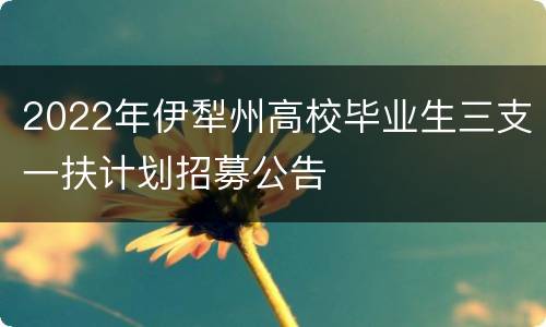 2022年伊犁州高校毕业生三支一扶计划招募公告