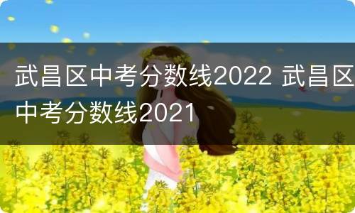 武昌区中考分数线2022 武昌区中考分数线2021