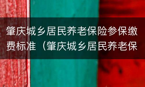 肇庆城乡居民养老保险参保缴费标准（肇庆城乡居民养老保险参保缴费标准是什么）