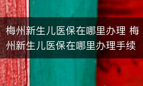 梅州新生儿医保在哪里办理 梅州新生儿医保在哪里办理手续