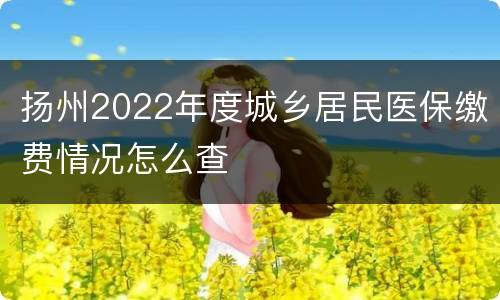 扬州2022年度城乡居民医保缴费情况怎么查