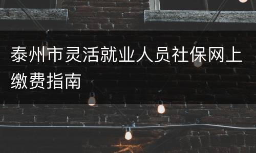 泰州市灵活就业人员社保网上缴费指南