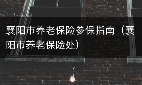 襄阳市养老保险参保指南（襄阳市养老保险处）