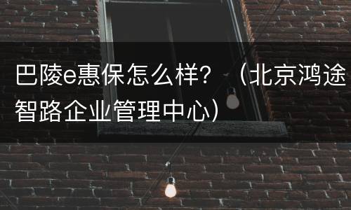巴陵e惠保怎么样？（北京鸿途智路企业管理中心）