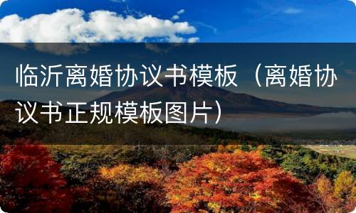 临沂离婚协议书模板（离婚协议书正规模板图片）