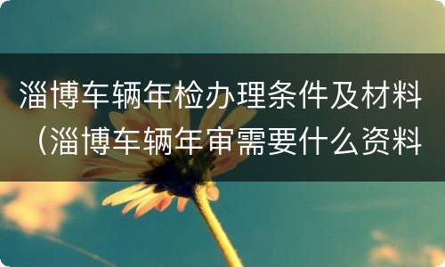 淄博车辆年检办理条件及材料（淄博车辆年审需要什么资料）