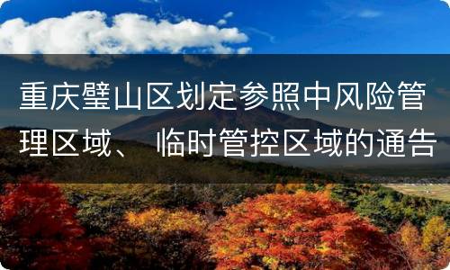 重庆璧山区划定参照中风险管理区域、 临时管控区域的通告