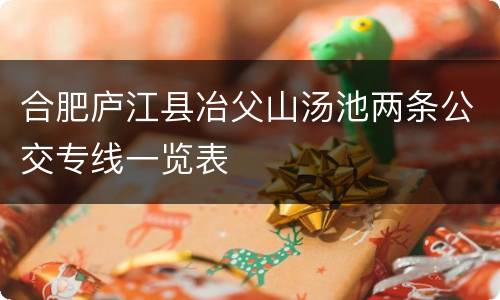 合肥庐江县冶父山汤池两条公交专线一览表