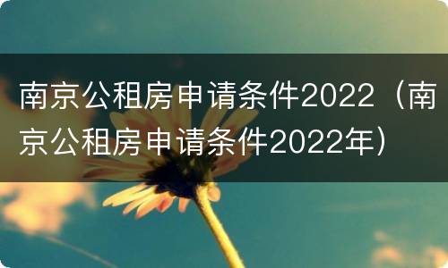 南京公租房申请条件2022（南京公租房申请条件2022年）
