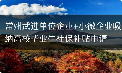 常州武进单位企业+小微企业吸纳高校毕业生社保补贴申请