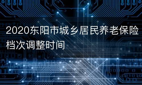 2020东阳市城乡居民养老保险档次调整时间