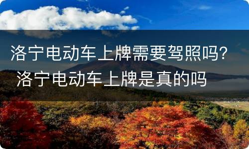 洛宁电动车上牌需要驾照吗？ 洛宁电动车上牌是真的吗