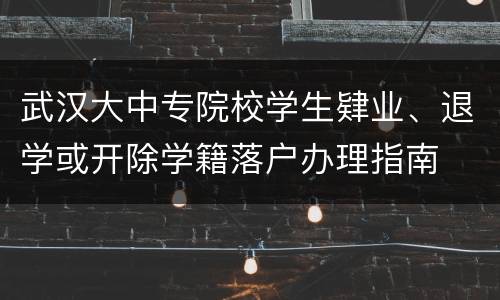 武汉大中专院校学生肄业、退学或开除学籍落户办理指南