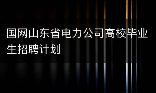国网山东省电力公司高校毕业生招聘计划