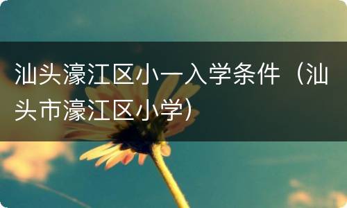 汕头濠江区小一入学条件（汕头市濠江区小学）