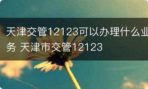 天津交管12123可以办理什么业务 天津市交管12123