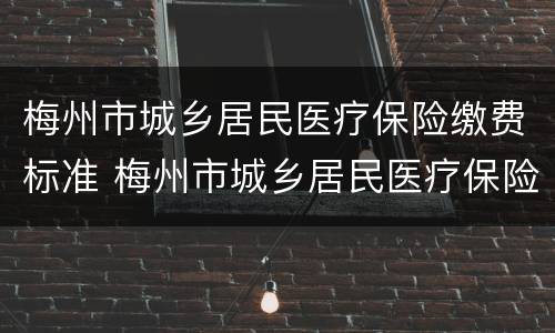 梅州市城乡居民医疗保险缴费标准 梅州市城乡居民医疗保险缴费标准表