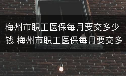 梅州市职工医保每月要交多少钱 梅州市职工医保每月要交多少钱一年