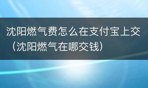 沈阳燃气费怎么在支付宝上交（沈阳燃气在哪交钱）