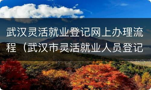 武汉灵活就业登记网上办理流程（武汉市灵活就业人员登记表）