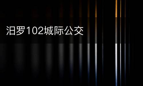 汨罗102城际公交